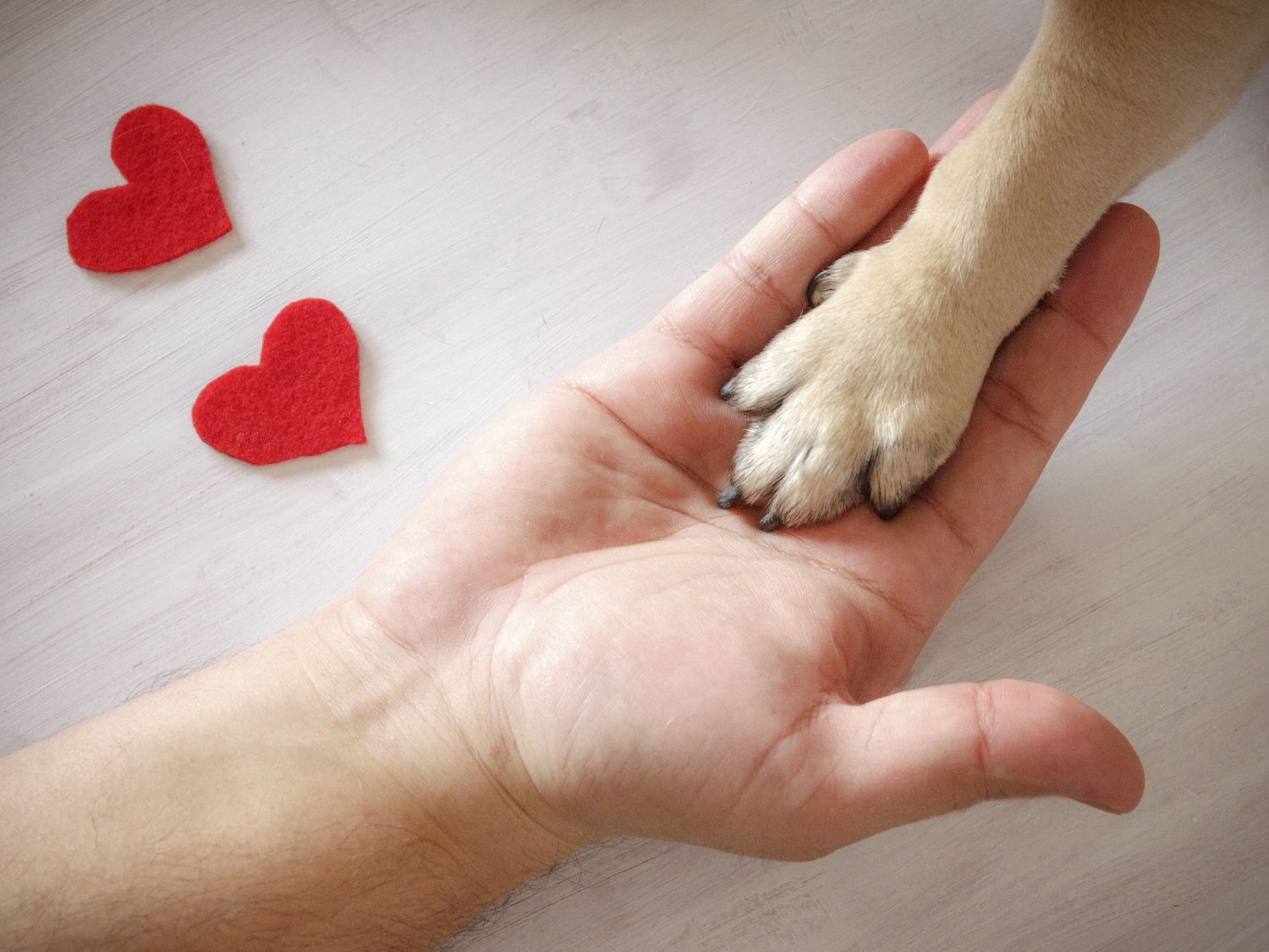 Hand & Hearts